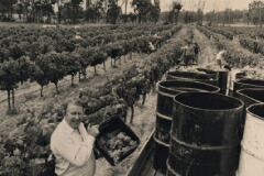 ティレルズ昔イメージ