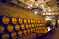 アルティガ フステル