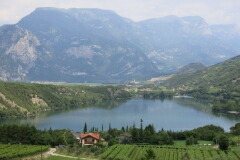 ジーノ ペドロッティ