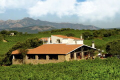 カンティーナ ターニ