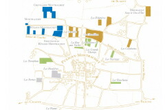 ピュリニー地図