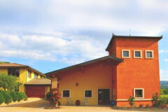 コルテ フィガレット