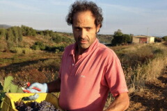 セルジオ アルクリ