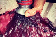 ヴァルテル マットーニセラー