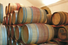 テヌータ ポンテ樽