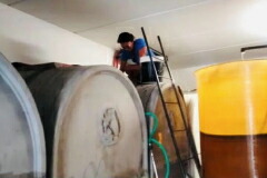 エリーザセラー