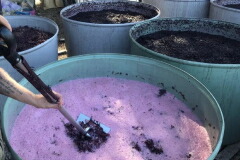 ポッペルヴァイ醸造