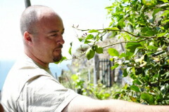 サムエーレ ハイディ