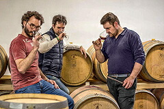 ライネリ オーナー