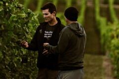 バビッチ ワインズ