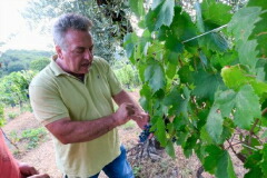 ピエロ マッチョカ