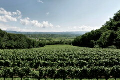 ロンコ デイ タッシ