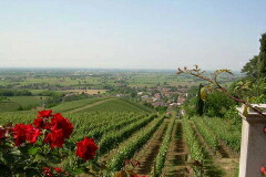 テヌータ マッツォリーノ