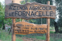 フォルナチェッレ畑
