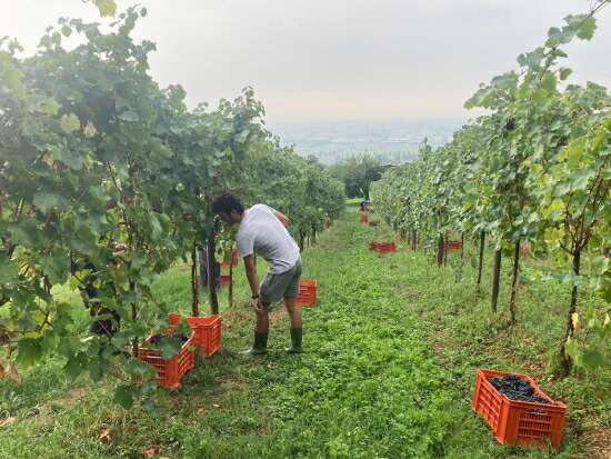 フィリッポ コスタ