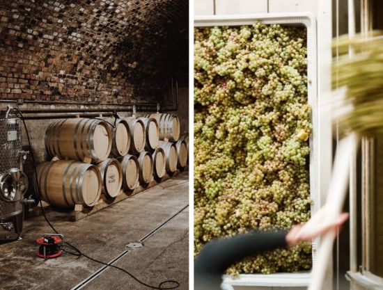 フォン デア フォーゲルヴァイデ セラー