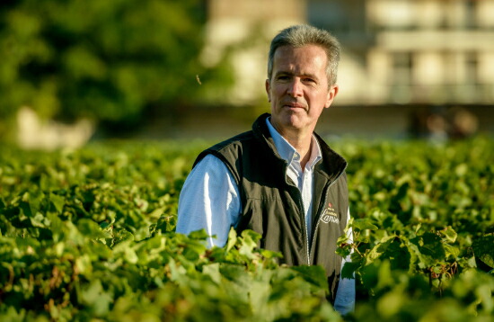 ワインメーカーのエルヴェ・ダンタン氏