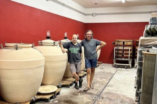 ティネッサ セラー