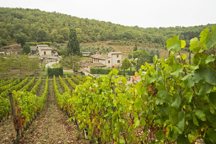 ポデーレ モナステロ 畑