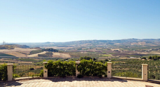 カンティーナからの景色