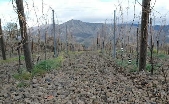 カルデラーラ ソッターナ