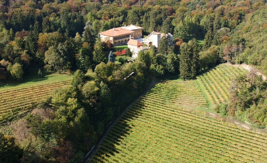 カンティーナ、畑