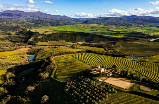 カンティーナと畑