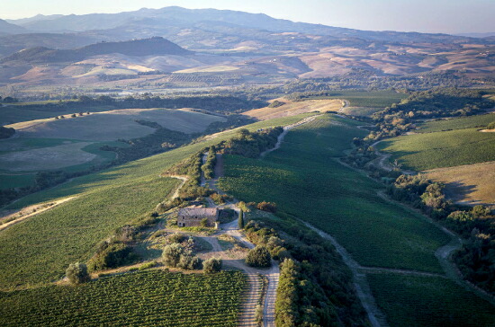 テヌータ ヌオヴァ