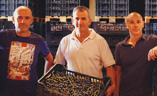 テッツァ オーナー