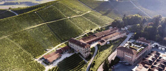 カンティーナとラローザ畑