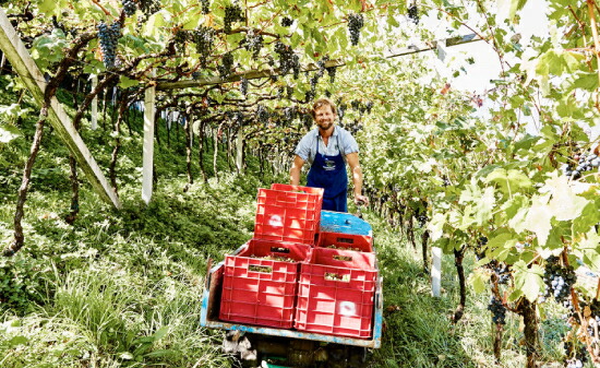 当主マルティン ゴイヤー氏