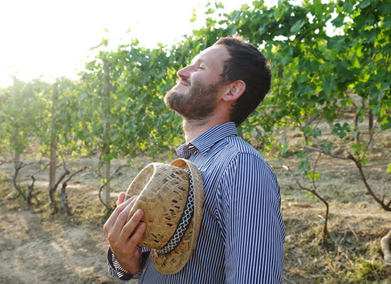 ステファノ オケッティ