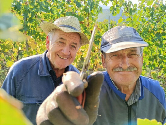 ボアッソ フランコ