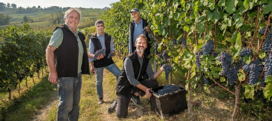 フラテッリ アレッサンドリア