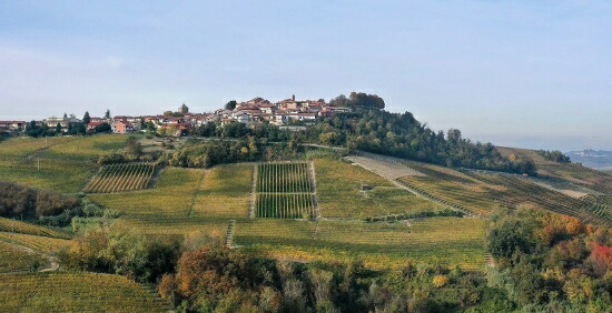 フラテッリ アレッサンドリア 畑