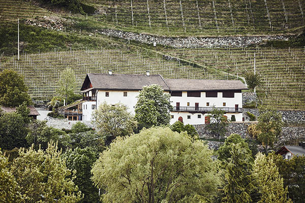 クエンホフ ピーター プリガーカンティーナim