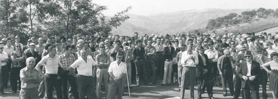 モンカロ60年代