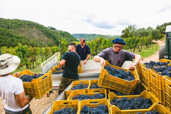 グレヴェペーザ主格