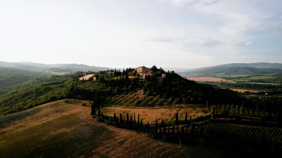 モンテ アンティコ 畑