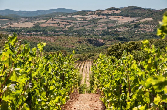 サン ジョヴェナーレ 