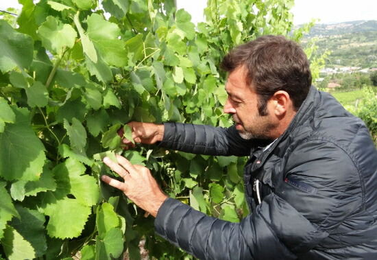 ピエトラクーパーのオーナー サビーノ氏