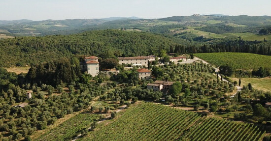 サン ジュスト 畑