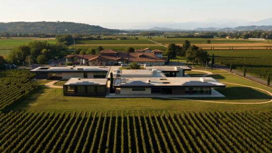 ヴィエディロマンス