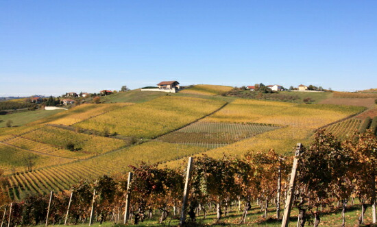 ラルマンジャの畑