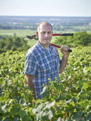 ドメーヌディコンヌ