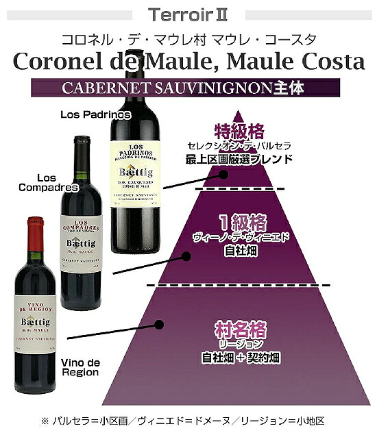 トスカニー イタリアワイン専門店 / ヴィーノ デ リージョン
