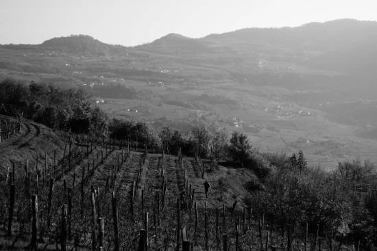 ダニエーレ ピッチニン風景