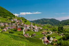 世界遺産のプロセッコの畑