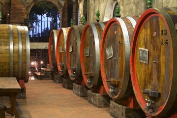 イルマッロネート