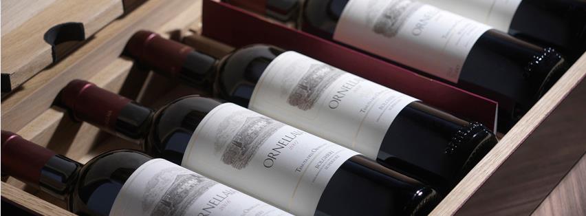 オルネッライア